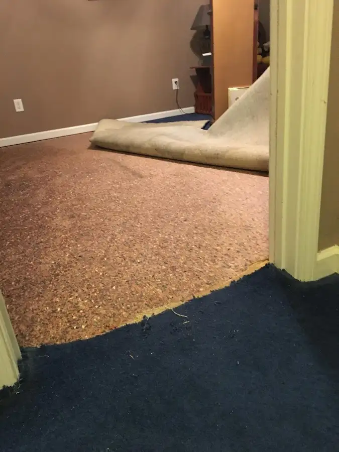 Carpet pad removal revealing water damage during Drying & Dehumidification in Havre