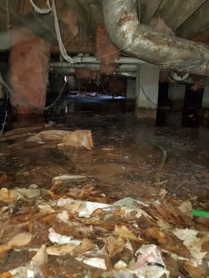 Crawl space flood assessment for Leak Detection & Repair in Havre